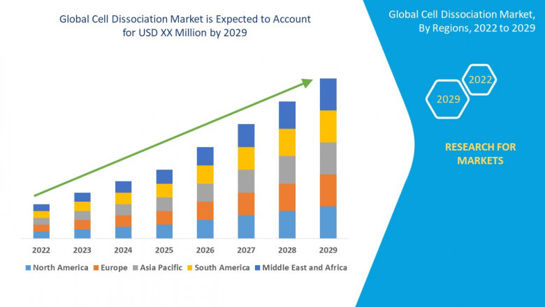 Cell Dissociation Market Overview, Growth Analysis, Trends and Forecast By 2029