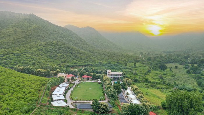 Exploring Rajasthan’s Flora and Fauna