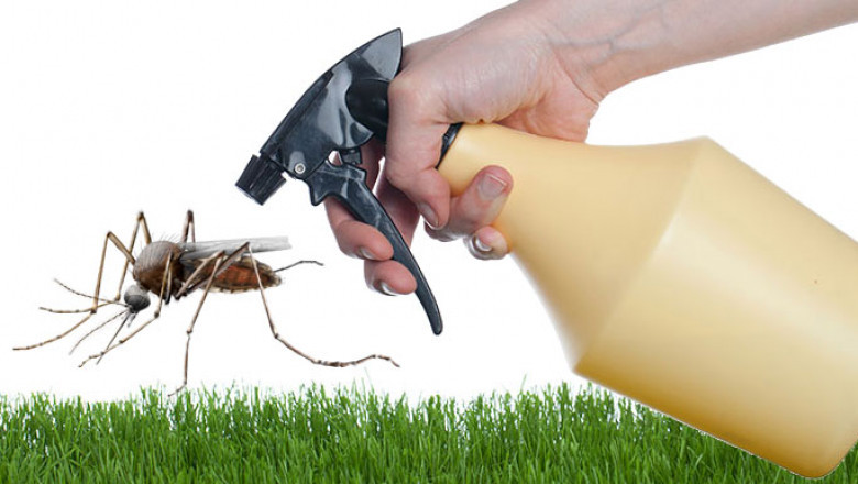 Household Insecticides Market Set to Flourish with Smart Spraying Technology