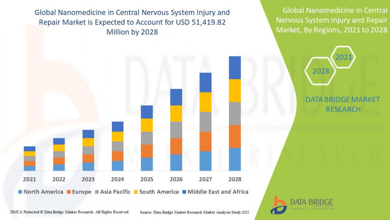 Nanomedicine in Central Nervous System Injury and Repair Market Decoding Size, Therapeutic Analysis, and Healing Forecast
