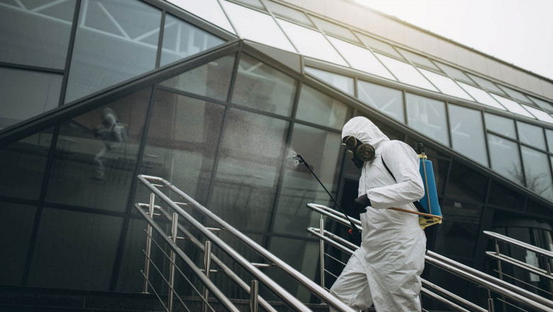 Say Goodbye to Dangerous Stings with Professional Wasp Control in Melbourne
