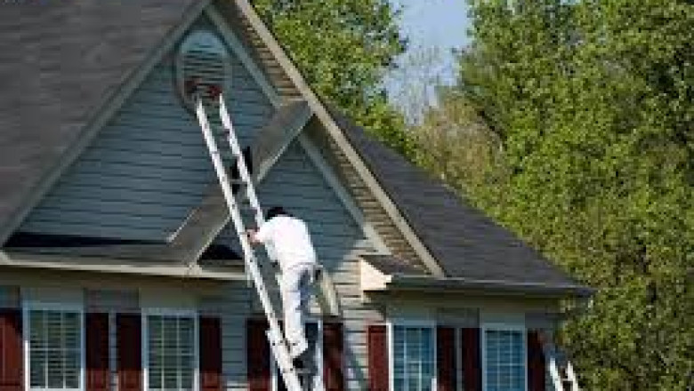 Simcoe Muskoka Wildlife Removal: Humane Solutions for Wildlife Problems