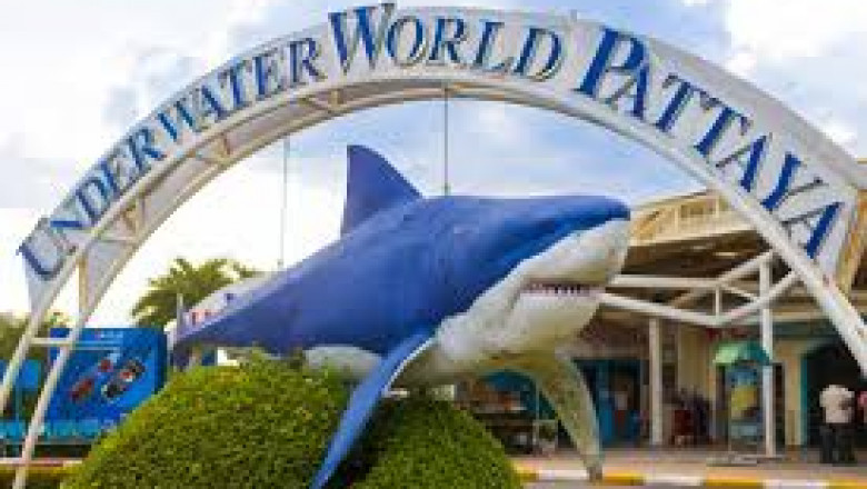 Dive Into Pattaya Underwater World - Book Discounted Tickets & Save.