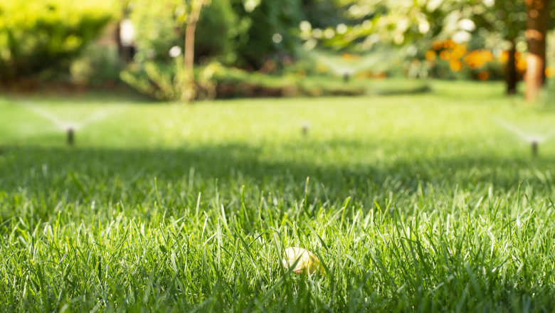 DreamLawn: Offering The Most Environmentally Friendly Lawn Care Services