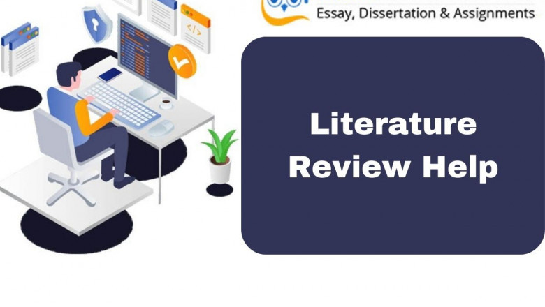 Why Is Professional Literature Review Help Crucial for Students Juggling Interdisciplinary Research in 2025?
