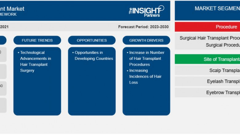 Hair Transplant Market is growing from US$ 5.12 Billion to US$ 23.32 Billion by 2030, Driven by Rising Hair Loss Incidence and Technological Advancements
