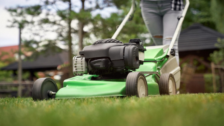 What Features Should You Look for in a Lawn Mower?