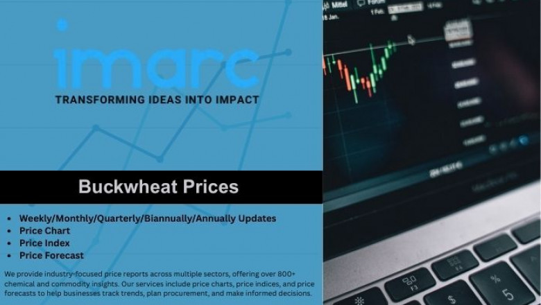 Buckwheat Prices, Trend, Chart and Forecast Data
