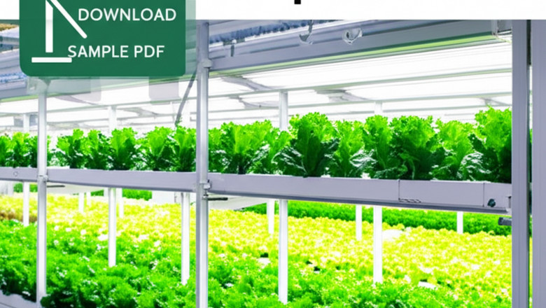 Europe Vertical Farming Crops Market Size, Sales Revenue, Comprehensive Research Study Focus on Opportunities, Demand, Growth, and Forecast by 2028