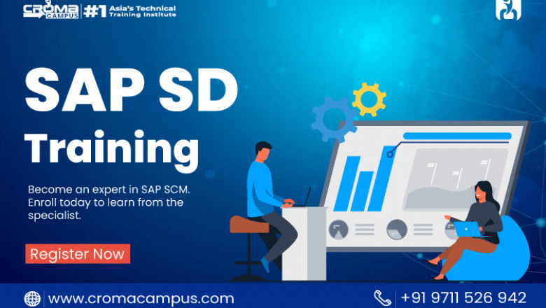 Why Should Companies Use SAP SD?