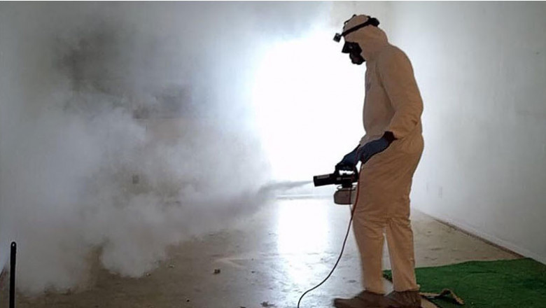 Expert Mold Inspection in Miami - Protect Your Home and Health