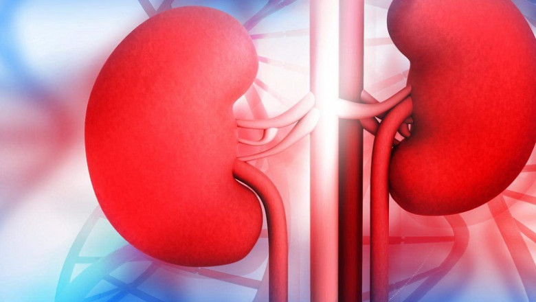 Kidney Disease Ayurvedic Treatment: Holistic Approaches to Healing- Aksa Ayurveda