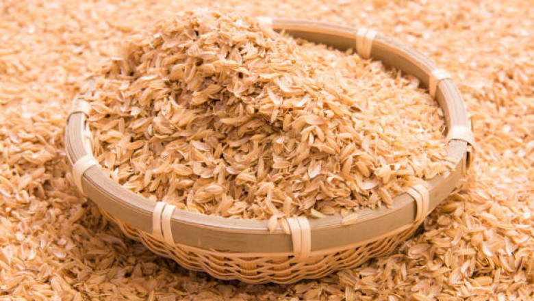 Rice Husk Manufacturing Plant Setup 2025, Project Report, Machinery Cost and Business Plan