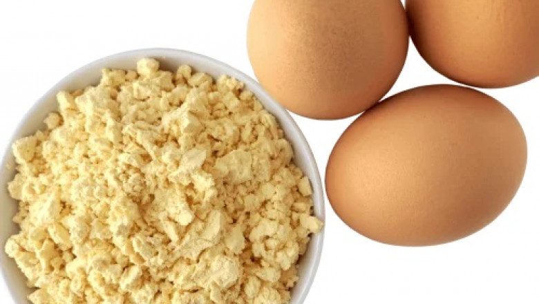 Whole Egg Powder Manufacturing Plant Cost 2025: Detailed Project Report, Raw Materials and Unit Setup