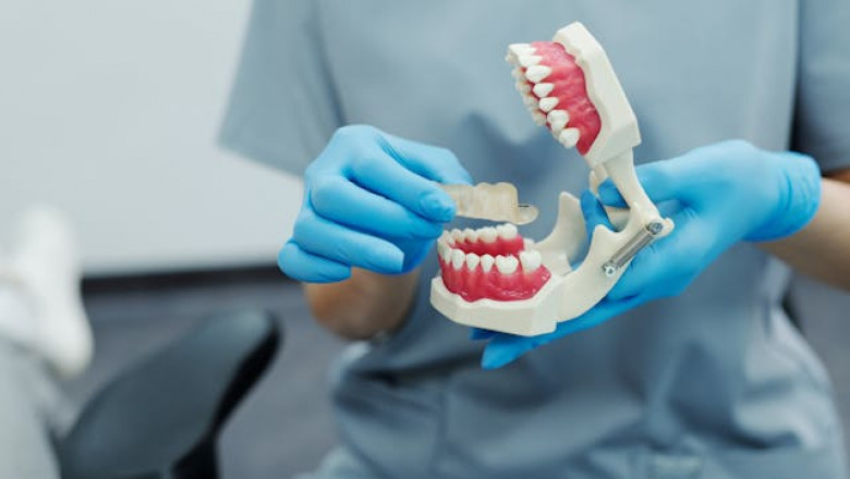 Finding the Best Orthodontist in Southold, NY: Your Guide to Expert Smile Care
