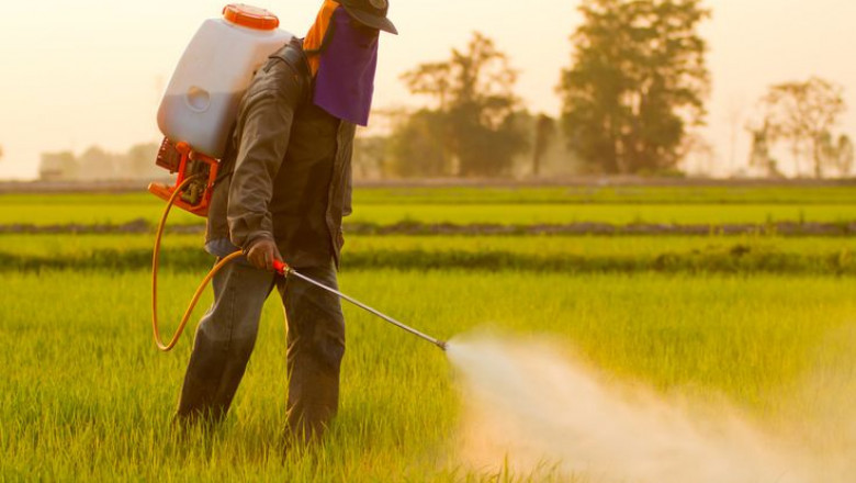 From Seed to Shelf: Integrate INSECTICIDES for a Thriving Garden